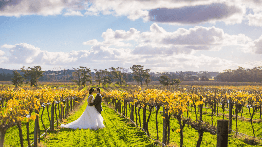 Barossa Wedding Photos